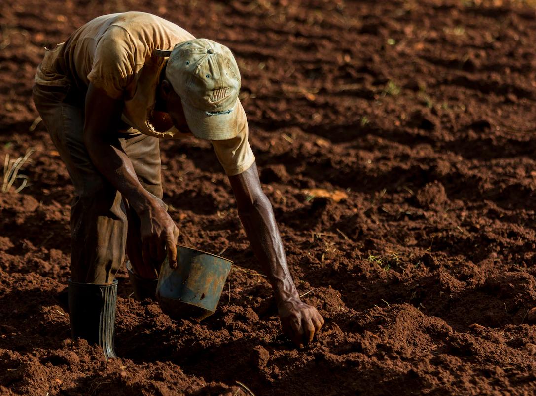 man farming